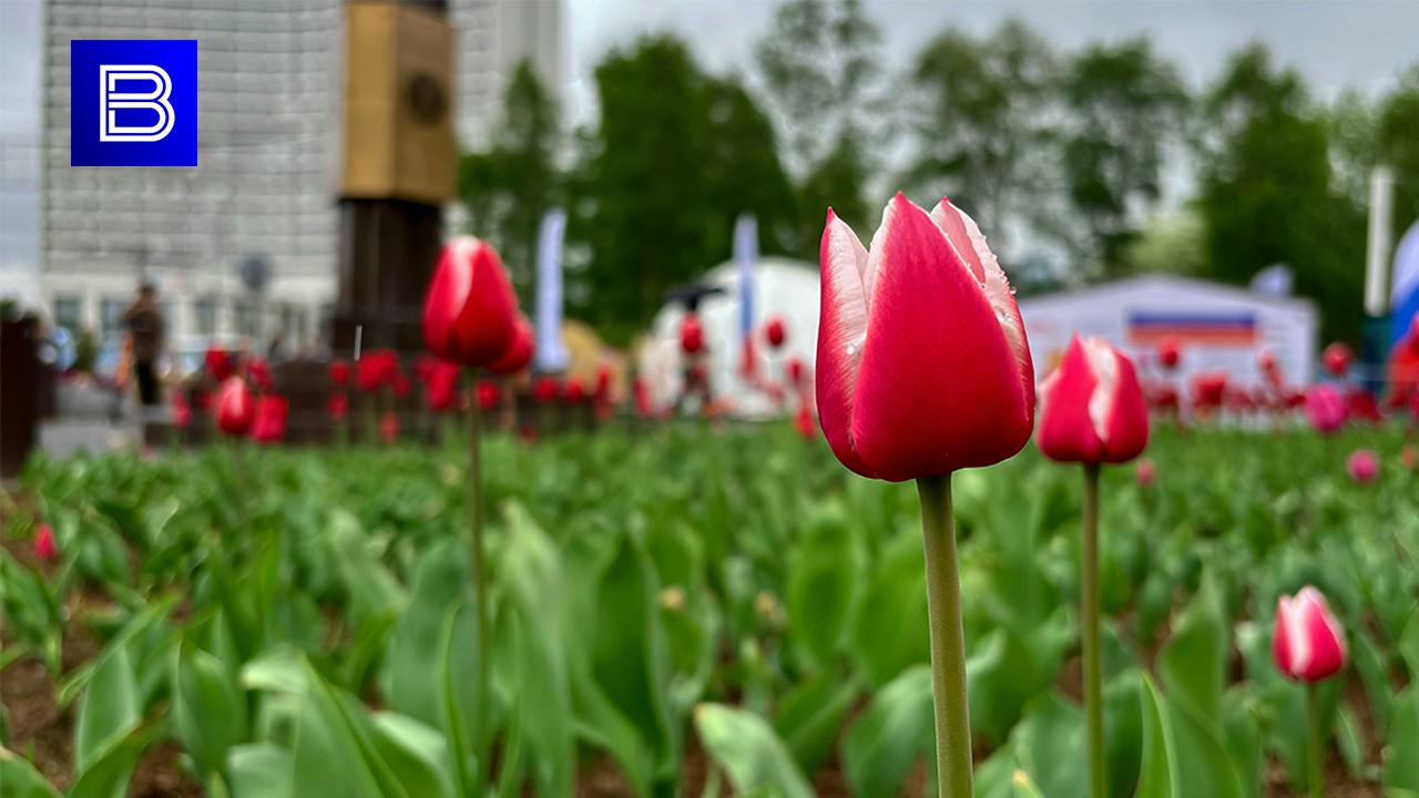 Прогноз погоды по Мурманской области на 14 июня